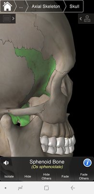 Screenshot_20200402-213436_Essential Anatomy 3.jpg