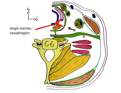 IMG_20200304_180557872 - Copie.jpg