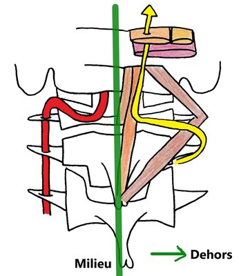 Schémas triangle de Tillaux - Copie - Copie.jpg