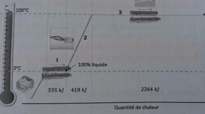 Capture d’écran 2020-04-06 à 22.13.22.png