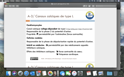 Capture d’écran 2020-04-07 à 20.26.37.png