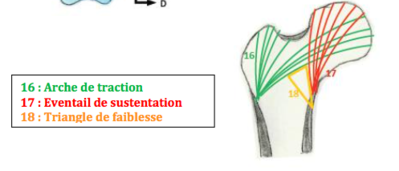 Capture d’écran 2020-04-09 à 14.15.58.png