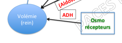 Capture d’écran 2020-04-09 à 15.59.45.png