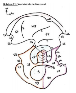 Annotation 2020-04-11 144130.png