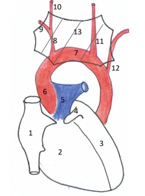 Annotation 2020-04-12 164842.png