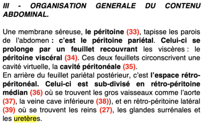 Capture d’écran 2020-04-12 à 20.56.13.png