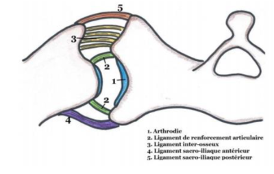 Capture d’écran 2020-04-13 à 20.45.33.png