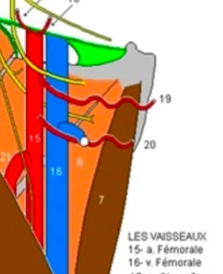 Capture d’écran 2020-04-13 à 21.13.28.png