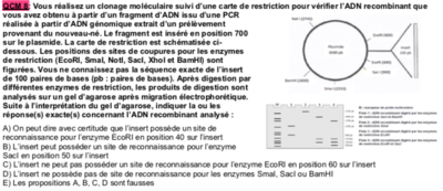 Capture d’écran 2020-04-18 à 17.41.08.png