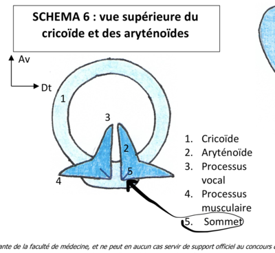 Capture d’écran 2020-04-19 à 09.35.50.png