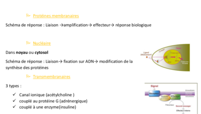 Capture d’écran 2020-04-20 à 15.00.37.png