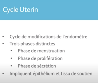 cycle utérin diapo.png