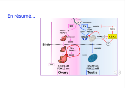 Annotation 2020-04-22 082743.png