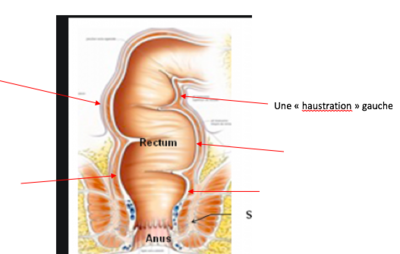 Capture d’écran 2020-04-22 à 20.50.18.png