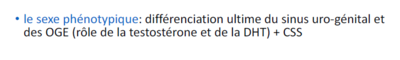 sexe phénotypique.PNG