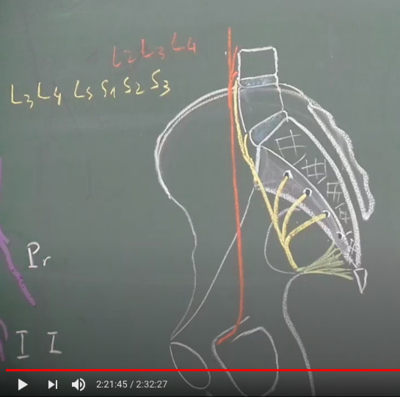Capture d’écran 2020-04-23 à 12.42.10.png