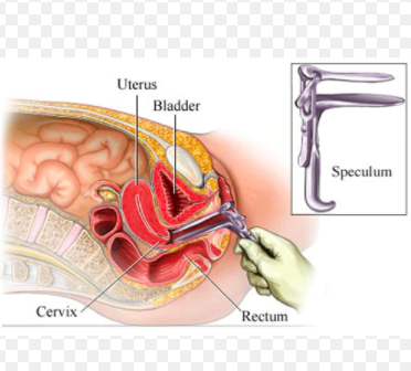 Capture d’écran 2020-04-26 à 10.42.58.png