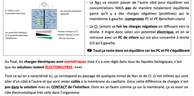 Capture d’écran 2020-04-26 à 16.35.31.png