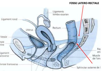 Capture d’écran 2020-04-28 à 15.33.02.png