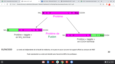 Screenshot 2020-04-30 at 14.04.04.png