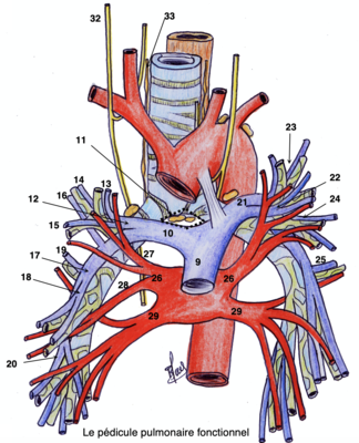 Capture d’écran 2020-05-01 à 17.56.19.png
