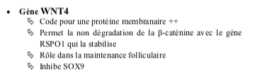 Capture d’écran 2020-05-02 à 10.16.05.png