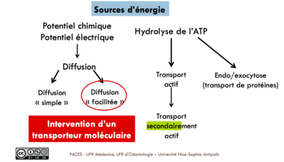 Capture d’écran 2020-05-02 à 18.21.07.png