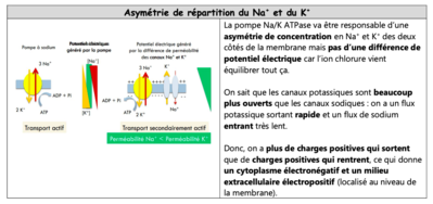 Capture d’écran 2020-05-02 à 18.31.33.png