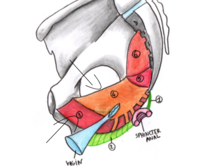 Capture d’écran 2020-05-02 à 23.56.14.png
