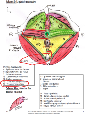 Annotation 2020-05-04 122921.png