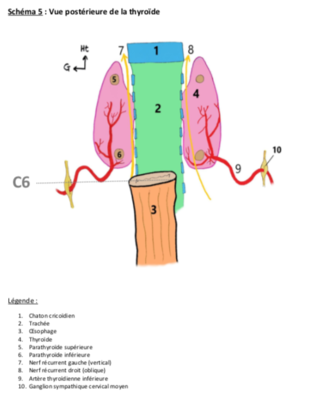 Capture d’écran 2020-05-05 à 18.00.01.png