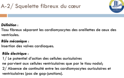 Capture d’écran 2020-05-06 à 00.42.51.png