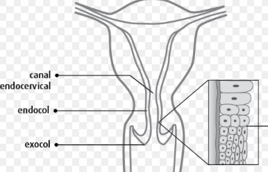 Capture d’écran 2020-05-07 à 11.47.39.png