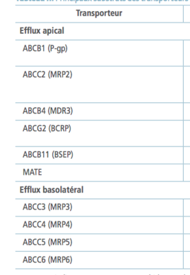 Screen Shot 2020-05-07 at 22.02.46.png