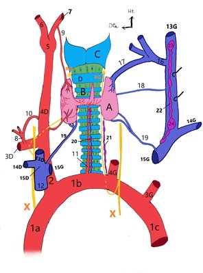 IMG_20200323_170355767 - Copie.jpg