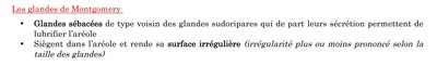 glandes.jpg