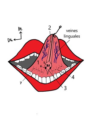 IMG_20200324_233453121 - Copie.jpg