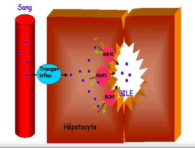 Screen Shot 2020-05-17 at 17.02.48.png