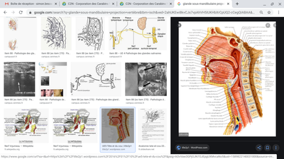 Screenshot 2020-05-17 at 19.16.32.png