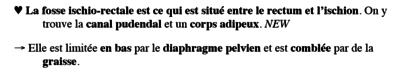 fosse ischio rectale.PNG