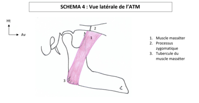 Capture d’écran 2020-05-23 à 05.04.30.png