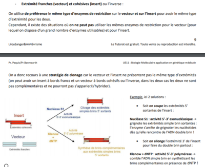 Screenshot 2020-05-28 at 13.14.40.png