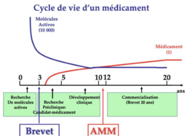 cycle de vie d'un médicament.png