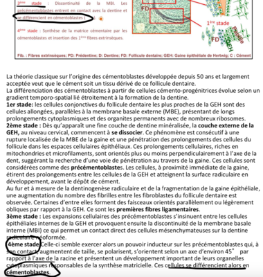 Capture d’écran 2020-05-31 à 17.56.53.png