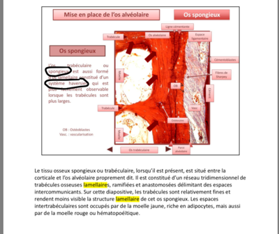 Capture d’écran 2020-05-31 à 17.27.42.png