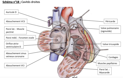 Capture d’écran 2020-06-04 à 22.30.34.png