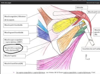 Capture d’écran 2020-06-02 à 16.01.11.png