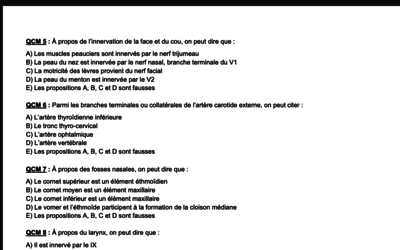 Capture d’écran 2020-06-09 à 12.04.03.png