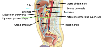 Capture d’écran 2020-06-13 à 21.00.42.png