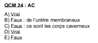Capture d’écran 2020-06-14 à 22.38.47.png